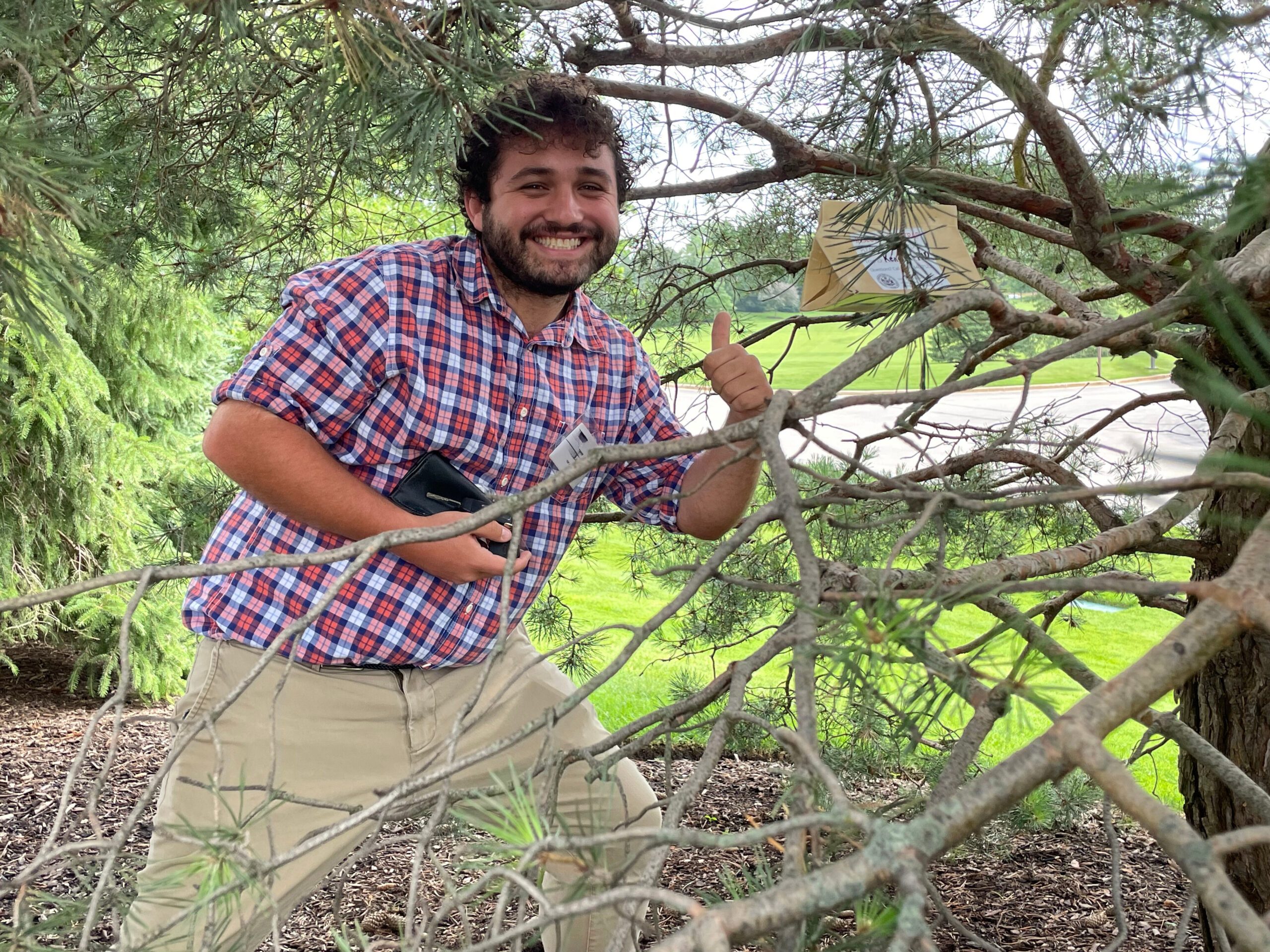 Man standing within tree branches