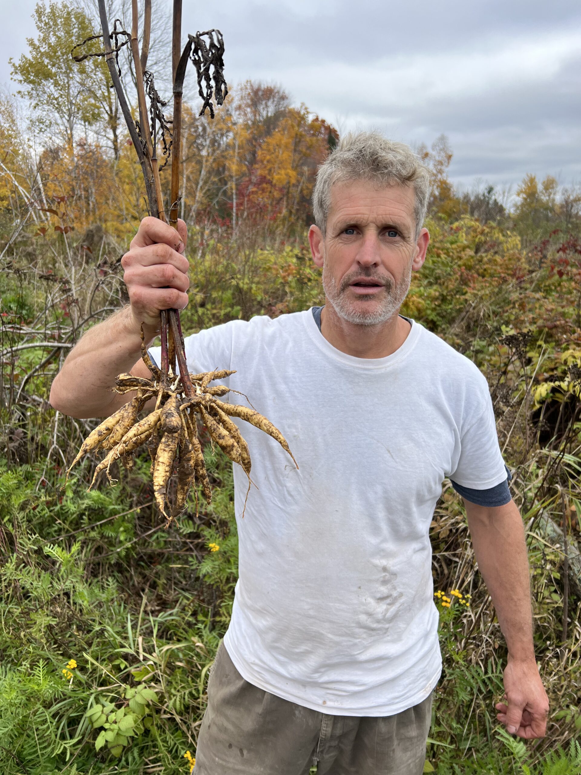 Man holding rooted plant