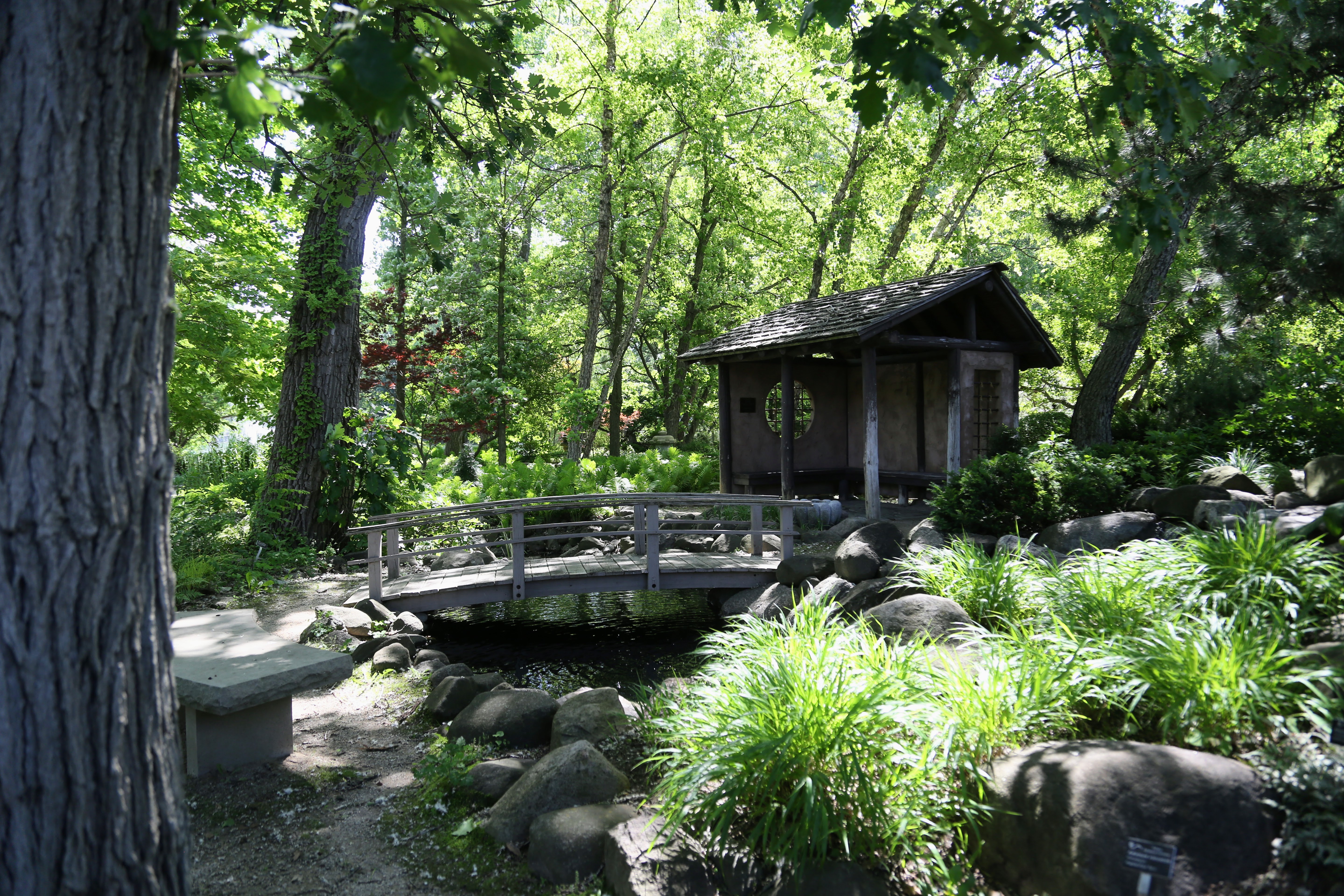 hut overlooking river
